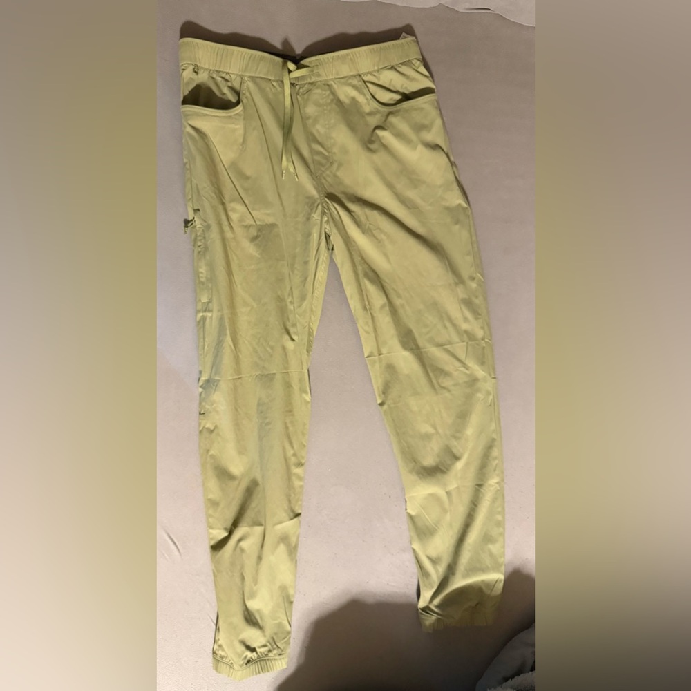 Pataginia Quandry Joggers mens large